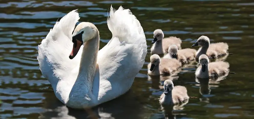 Cómo mantener una familia unida y feliz